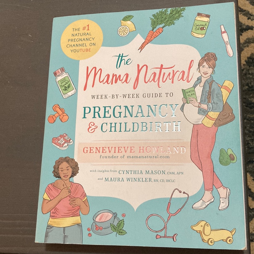 The Mama Natural Guide to Pregnancy and Childbirth